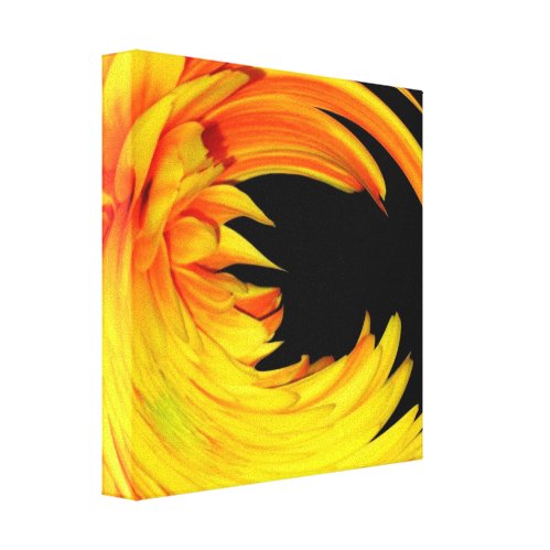gerbera daisy