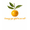 Orange you glad to see me? t-shirts by bombay1536 Orange you glad to see me? t-shirts