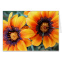 orange you sweet cards by Kellyap orange you sweet cards