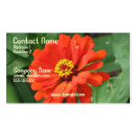 Orange Zinnia Business Card
