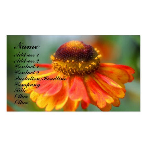 Orange Zinnia Flower Photography Business Card