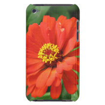 Orange Zinnia iTouch Case Barely There iPod Covers