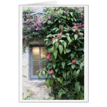 Orangerie Window Glenveigh Castle cards