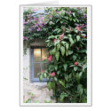 Orangerie Window Glenveigh Castle cards