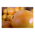 Oranges 2 posters by C00L_AC Oranges 2 posters