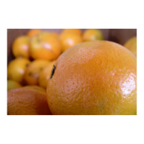 Oranges 2 posters