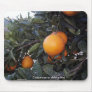 Oranges, Algorfa, Spain.  Mousemat