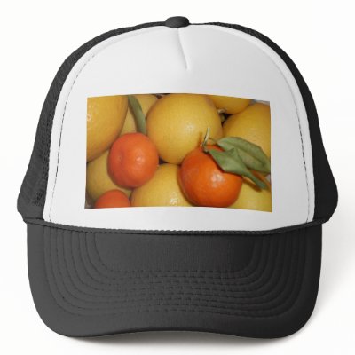 Pictures Of Oranges And Lemons. Oranges and Lemons Mesh Hats