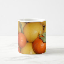Oranges and Lemons Mug