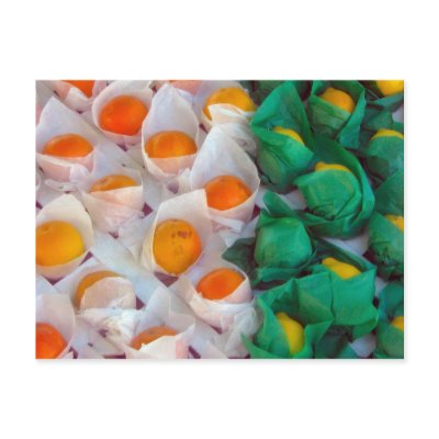 Oranges And Lemons Postcards by DonnaGrayson_Photos