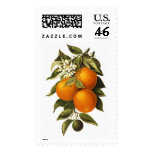 Oranges and Poppies Postage