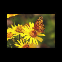 Oranges and Yellows canvas prints