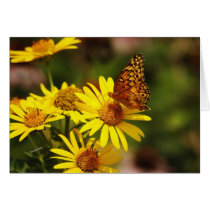 Oranges and yellows cards