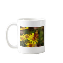 Oranges and yellows mugs by bhbphotos Oranges and yellows mugs