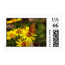 Oranges and yellows postage by bhbphotos Oranges and yellows postage