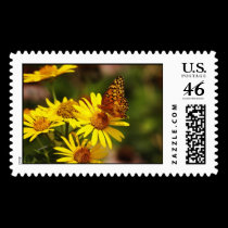 Oranges and yellows stamps