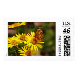 Oranges and yellows postage