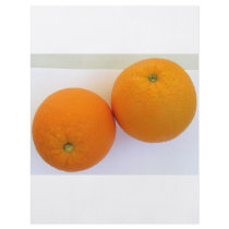 ORANGES BOUNCING flyers