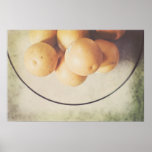 oranges in a bowl stilllife poster