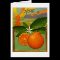 Oranges note card cards