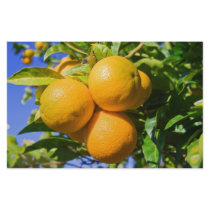 Oranges on a tree stationery paper