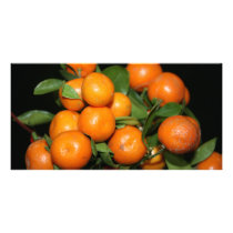 Oranges Personalized Photo Card
