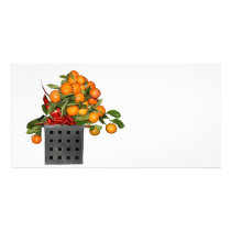 Oranges Photo Card Template