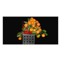 Oranges Picture Card