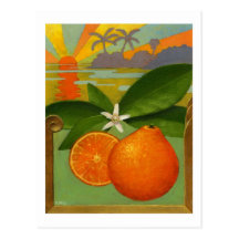 Oranges postcard
