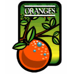 oranges, fruit, orange juice, orange tshirts,