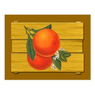 Oranges Vintage Crate Art Postcard