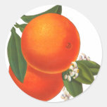 Oranges Vintage Crate Art Template Stickers