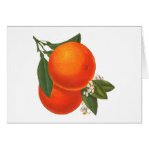 Oranges Vintage Crate Blank Art Card