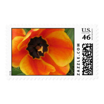 orangetulipssideview postage by jenniekurono orangetulipssideview postage