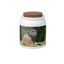 orangtan3-12x9 candy jars