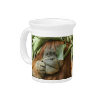 orangutan2-12x9 pitchers