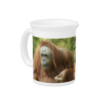 orangutan5-9x12 pitchers