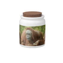 orangutan5-9x12 candy jars