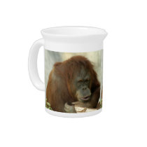 orangutan6-9x12 pitchers