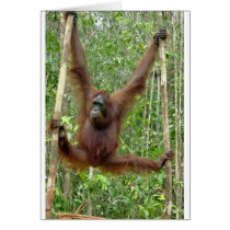 Orangutan a hangin' greeting card