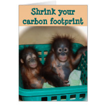 Orangutan Advice: Carbon Footprint cards
