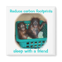 Orangutan Advice Carbon Footprints Magnets
