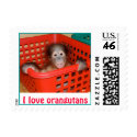 Orangutan : Animal Baby Alfred postage by Rebecca_Reeder Orangutan : Animal Baby Alfred postage