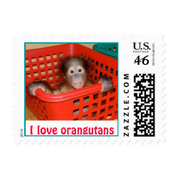 Orangutan : Animal Baby Alfred stamp
