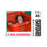Orangutan : Animal Baby Alfred postage