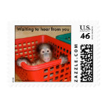 Orangutan : Animal Baby Alfred Postage Stamps
