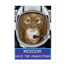 Orangutan Animal Mission Postcards