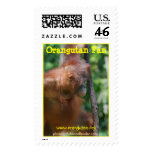 Orangutan Animal Wildlife  Photography Postage Stamps