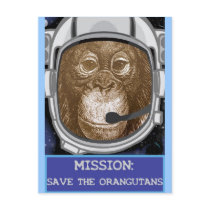 Orangutan Astronaut Mission Postcard