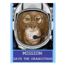 Orangutan Astronaut Mission Postcard
